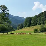 公寓 Gschwendtnerhof App13 Lincke 基姆高的阿绍