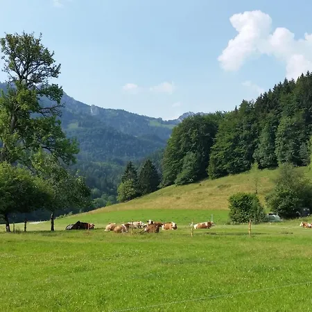 Apartment Gschwendtnerhof App13 Lincke Aschau im Chiemgau